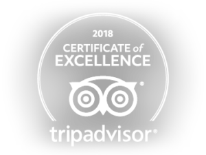 certificat excellence tripdvisor